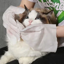 Luvas para Banho a Seco em Pets