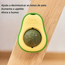 Abacate Catnip para Gatos – Brinquedo Interativo de Parede que Relaxa e Estimula