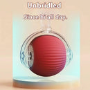 Brinquedo Interativo para Gatos – Bola Automática com Cauda e Luzes, Recarregável USB