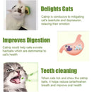 Abacate Catnip para Gatos – Brinquedo Interativo de Parede que Relaxa e Estimula