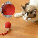 Brinquedo Interativo para Gatos – Bola Automática com Cauda e Luzes, Recarregável USB