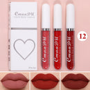 Kit 3 Batons Líquidos Matte Velvet – Alta Fixação, À Prova d’Água e Cor Intensa de Longa Duração